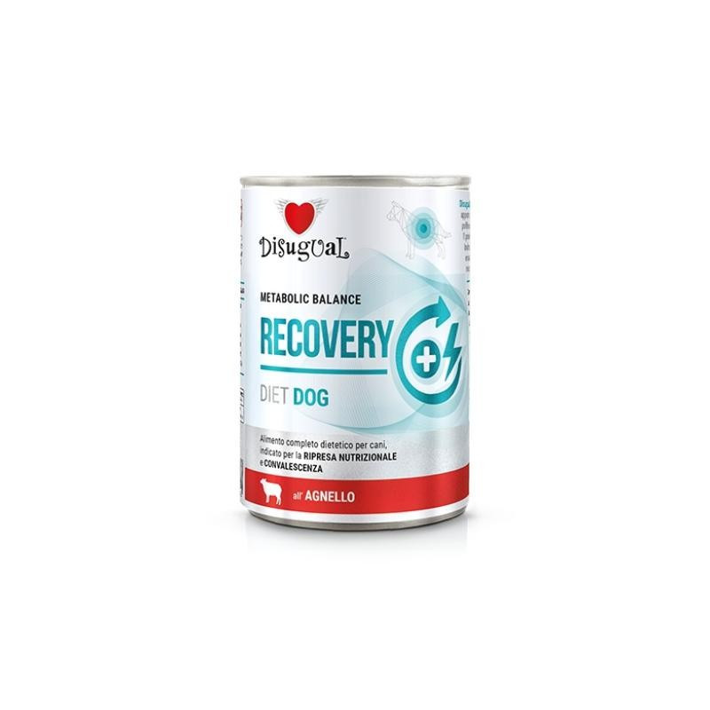 Disugual diet digestion para perros,comprar en Zaragoza,Superguau