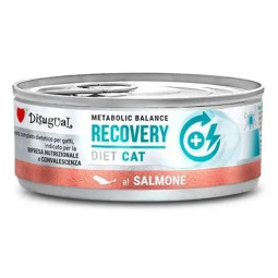 Disugual Diet Cat Lata Recovery de Salmón 85 gr