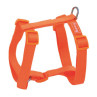 Arnés para perros freedog de nylon basic naranja - Envío a domicilio en 24h en zaragoza y toda españa