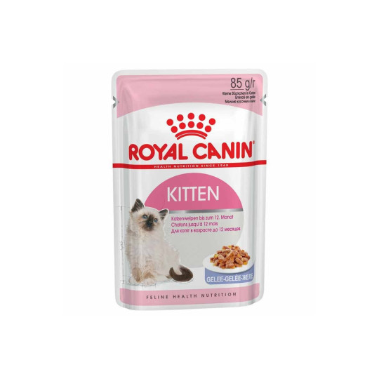 Royal Canin kitten en gelatina