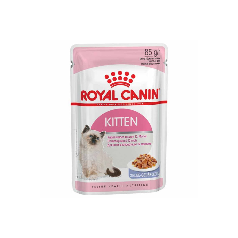 Royal Canin kitten en gelatina