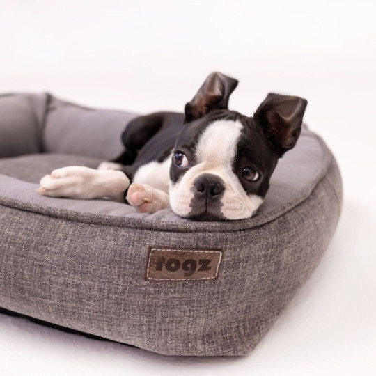 Rogz Cama rectangular Gris