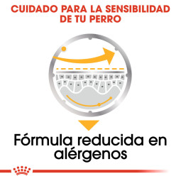 Royal Canin Comida Humeda Dermaconfort