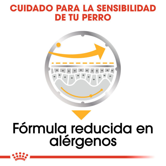 Royal Canin Comida Humeda Dermaconfort