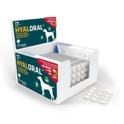 Pharmadiet Hyaloral Condroprotector Razas Grandes Blister 12 Unidades