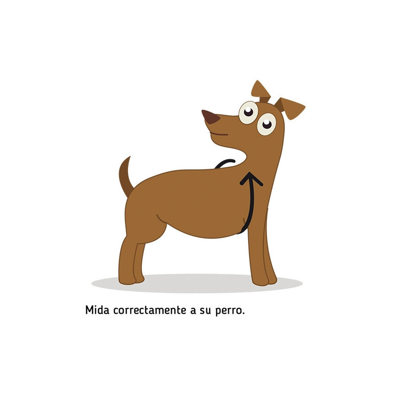 Ibañez Arnes Dots Rosa