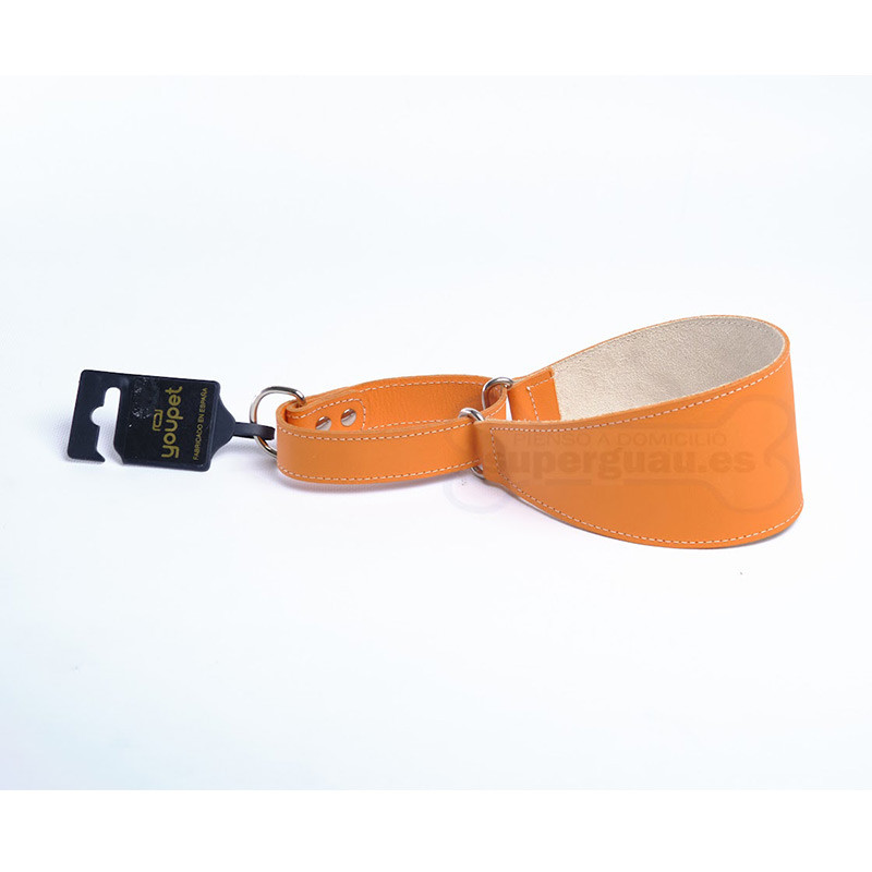 Youpet Collar Galgo Martingale Naranja