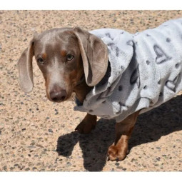 Nayeco Sudadera con Capucha Amour Gris