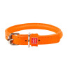 collar de cuero para perros en zaragoza con envio a dimicilio en toda españa