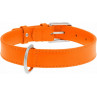 collar de cuero para perros en zaragoza con envio a dimicilio en toda españa