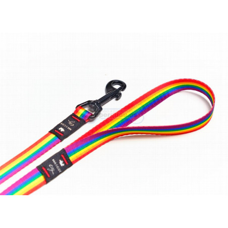 Mascot City Correa Rainbow Horizontal