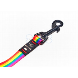 Mascot City Correa Rainbow Horizontal