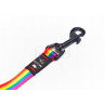 Mascot City Correa Rainbow Horizontal