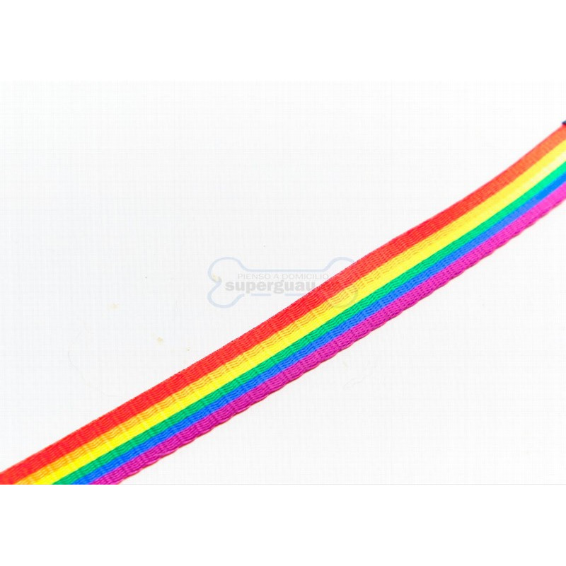 Mascot City Correa Rainbow Horizontal