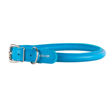 collar para perros en zaragoza con envio a domicilio en toda españa