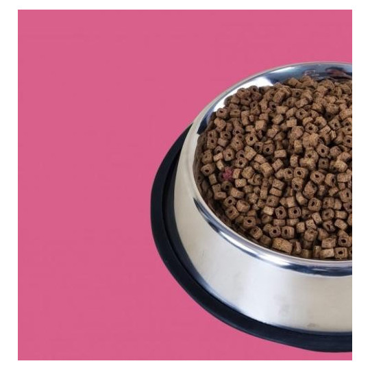 NutriPlus Gato Adulto Esterilizado