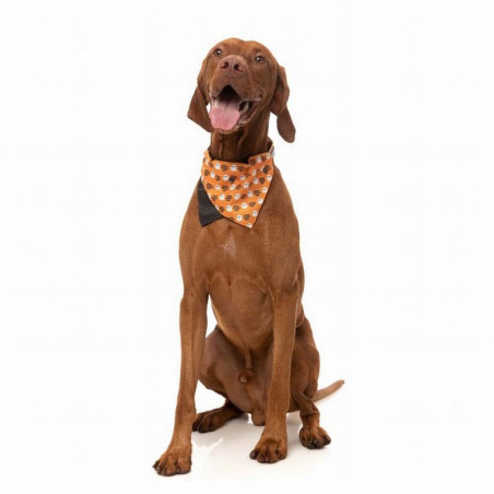 Fuzzyard Bandana Halloween Spooky Ghost M-L