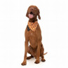 Fuzzyard Bandana Halloween Spooky Ghost M-L