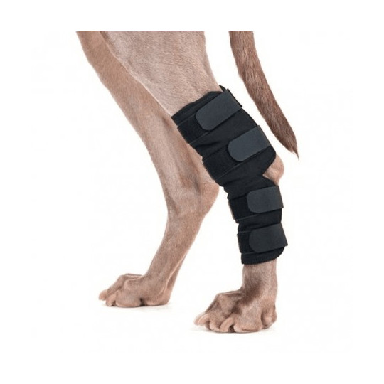 Soporte de tarso Ortocanis - Ortopedia canina y felina en Zaragoza