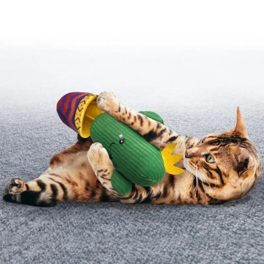 Kong Kickeroo para gato - Juguete en Zaragoza, Superguau