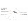 EzyDog Collar doble cierre para perros -Comprar en Zaragoza, Superguau