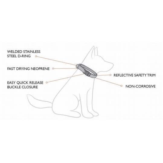 EzyDog Collar doble cierre para perros -Comprar en Zaragoza, Superguau