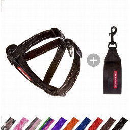 EzyDog Collar doble cierre para perros -Comprar en Zaragoza, Superguau