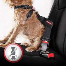 EzyDog Collar doble cierre para perros -Comprar en Zaragoza, Superguau