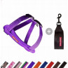 EzyDog Collar doble cierre para perros -Comprar en Zaragoza, Superguau