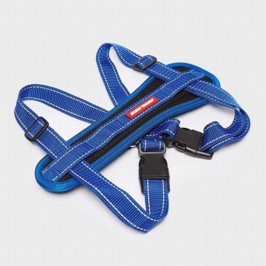 EzyDog Collar doble cierre para perros -Comprar en Zaragoza, Superguau