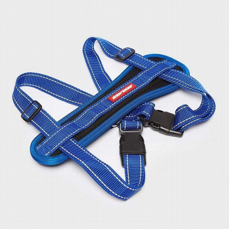 EzyDog Collar doble cierre para perros -Comprar en Zaragoza, Superguau
