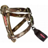 EzyDog Collar doble cierre para perros -Comprar en Zaragoza, Superguau