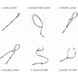 EzyDog Collar doble cierre para perros -Comprar en Zaragoza, Superguau