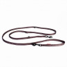EzyDog Collar doble cierre para perros -Comprar en Zaragoza, Superguau