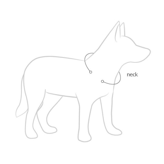 EzyDog Collar doble cierre para perros -Comprar en Zaragoza, Superguau