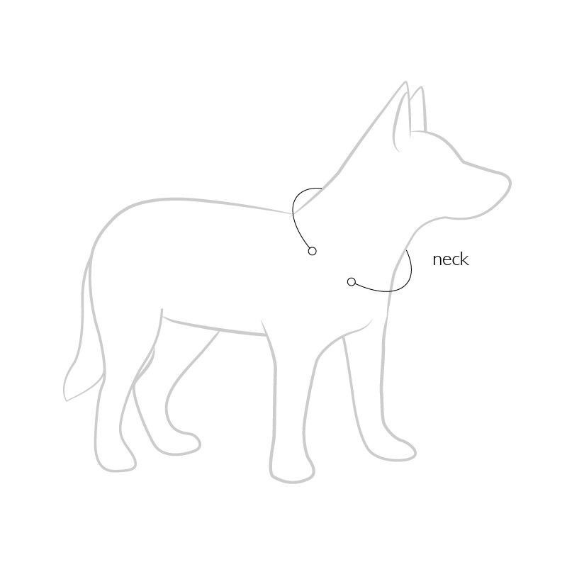 EzyDog Collar doble cierre para perros -Comprar en Zaragoza, Superguau