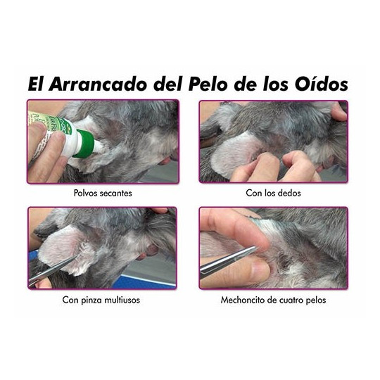 Bio Groom Ear Fresh Polvo para Oídos 24gr