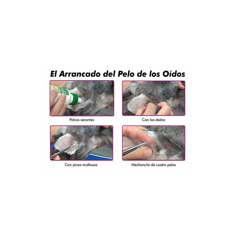 Bio Groom Ear Fresh Polvo para Oídos 24gr