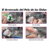 Bio Groom Ear Fresh Polvo para Oídos 24gr