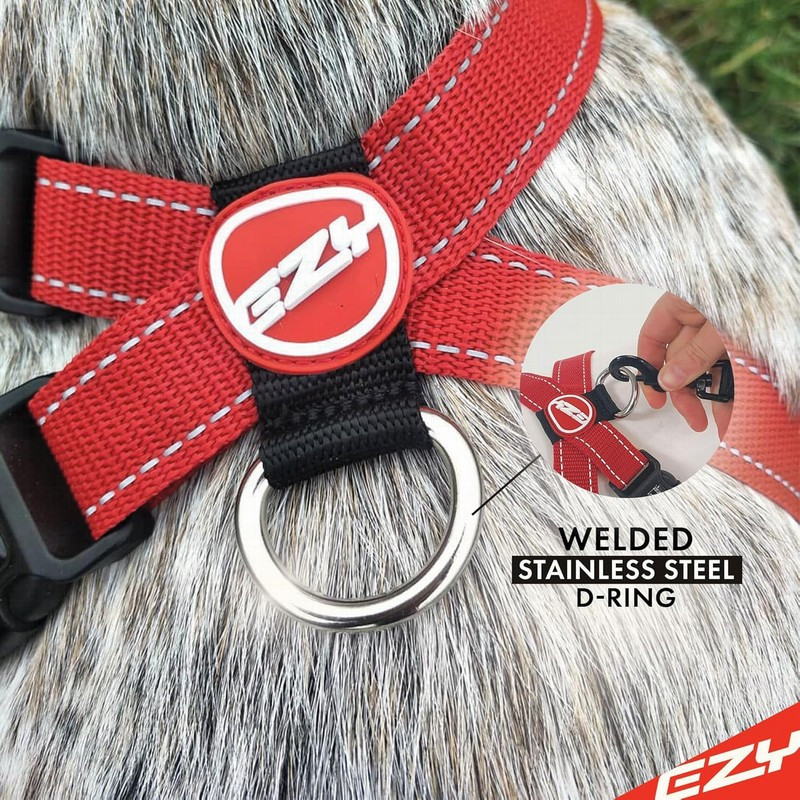 EzyDog Collar doble cierre para perros -Comprar en Zaragoza, Superguau