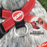 EzyDog Collar doble cierre para perros -Comprar en Zaragoza, Superguau