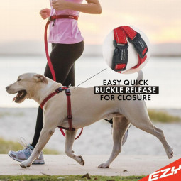 EzyDog Collar doble cierre para perros -Comprar en Zaragoza, Superguau
