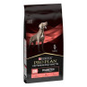 Purina VD DM Diabetes Perros - Comprar en Zaragoza, Superguau