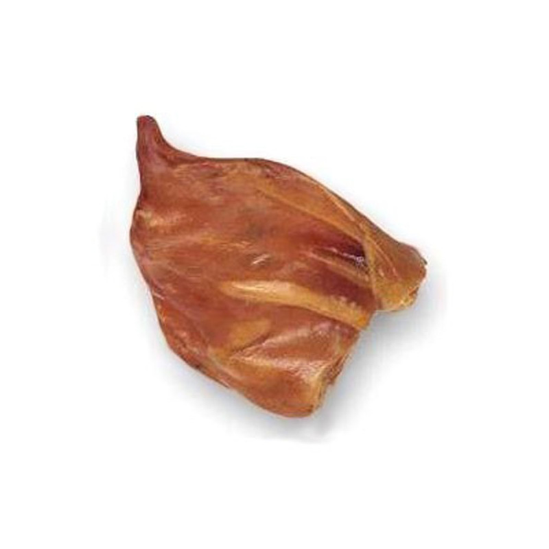 Oreja de cerda