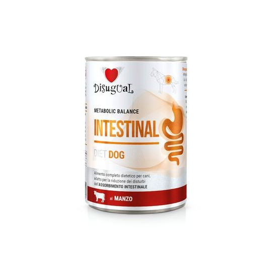 Disugual diet intestinal para perros,comprar en Zaragoza,Superguau