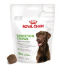 Royal Canin Dog Snack Digestion Adult 160gr