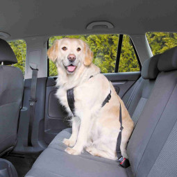 Arnés para coche Trixie para perro - Comprar en Zaragoza, Superguau