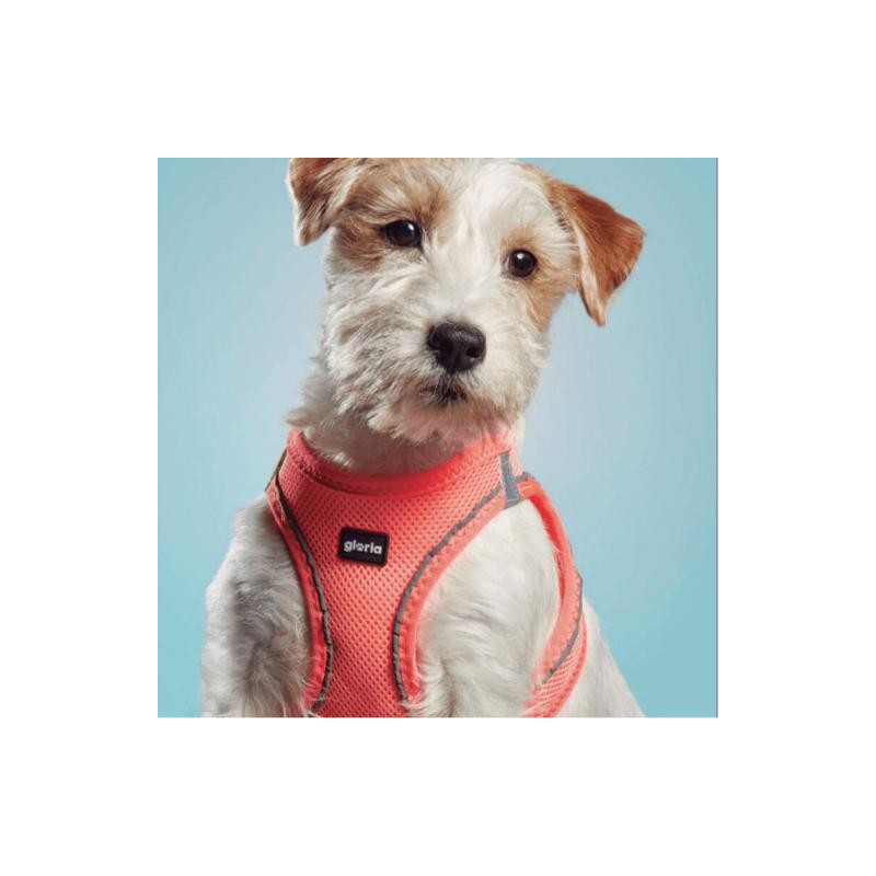 Gloria Pets Arnés Air Mesh Trek Star Rosa