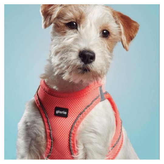 Gloria Pets Arnés Air Mesh Trek Star Naranja