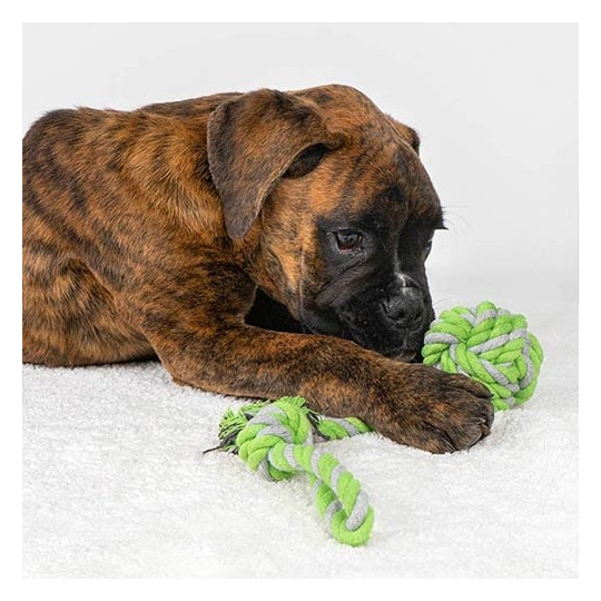 Pelota con trapillo para perros, comprar en Zaragoza, Superguau